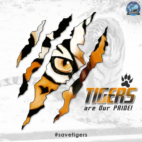 Save Tigers, save the pride of our country!  . HAPPY International Tigers Day!  . #InternationalTigerDay #tigerstateofIndia #savetigers Tigers Day Poster, Save Tiger Poster Drawing, Save The Tiger Poster, Save Tiger Drawing, International Tiger Day Poster, Tiger Day Poster, Save Tiger Poster Ideas, Tiger Day, Tiger Conservation