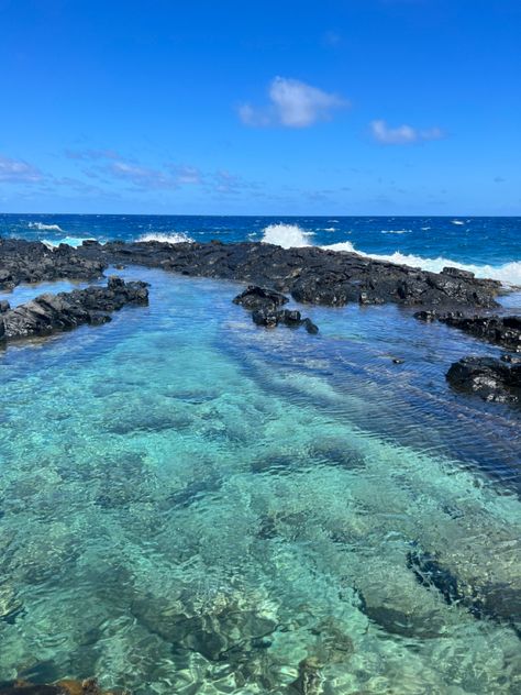 Makapuu Tidepools, Tide Pools, Oahu Hawaii, Island Life, Oahu, Project Management, Hawaii, Universe, Favorite Places