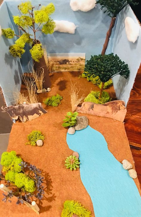 Savanna Diorama, Biome Project, Habitat Diorama, Savanna Biome, Habitat Project, Biomes Project, Habitats Projects, Extinct Animals, Science Project