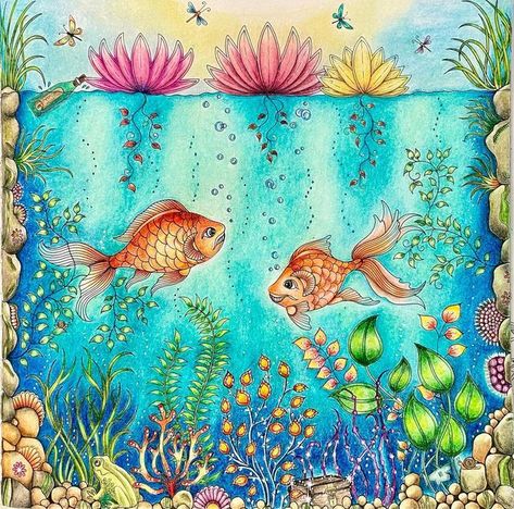 Ning Shu on Instagram: "Secret Garden - Johanna Basford 秘密の花園- Fish Pond 魚のいる池 My patience has come the end. I can no longer keep polishing this page. It has taken me five days to completely it. Still not happy with the background😊. #johannabasford #secretgardencoloringbook #johannabasfordcoloringbooks #colouringforadults #coloringtherapy #coloringistherapy #colouringforgrownups #colouring #adultcoloringforum #coloringisfun #coloringpages #addictedcoloring #prismacolors #friendswh Joanna Basford Secret Garden, Johanna Basford Secret Garden Coloring Book, Secret Garden Coloring Book Finished, Secret Garden Johanna Basford, Basford Secret Garden, Joanna Basford Coloring, Johanna Basford Secret Garden, Garden Coloring, Secret Garden Coloring Book