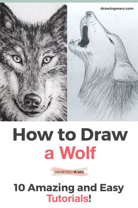 The Best 10 Tutorials on How to Draw A Wolf Step by Step Easy. Learn How to Draw A Wolf Easy with the Best Online Video Tutorials for Kids and for Adults with acrylic, watercolor, pencils, charcoal & many more techniques! How To Draw A Wolf Step by Step, How To Draw A Wolf Easy, How To Draw A Wolf Head, How To Draw A Wolf For Kids, How To Draw A Wolf Face, How To Draw A Wolf Howling, How To Draw Wolf Step by Step, How To Draw Wolf Head, How To Draw Wolf Face & more! Drawing ideas with pencils! Wolf Head Drawing, Wolf Face Drawing, Wolf Drawing Easy, Christmas Drawings For Kids, Draw A Wolf, Easy Fish Drawing, Very Easy Drawing, Beginner Drawing Lessons, Easy Christmas Drawings