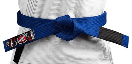 Blue Belt Karate, Bjj Blue Belt, Blue Belt Jiu Jitsu, Jiu Jitsu Belts, 2025 Goals, Martial Arts Belts, Karate Belt, 2024 Board, 2023 Goals