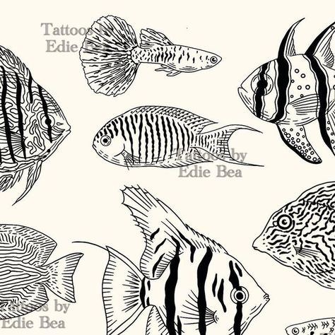 • Edie Bea Tattoo • on Instagram: "DM to book a design or send me your favourite tropical fish and I’ll happily tattoo it. 🐟🐠🐡" School Of Fish Tattoo, Tropical Fish Tattoo, Bea Tattoo, Flash Sheets, Cat Tattoo Designs, Fish Tattoo, Cat Halloween Costume, Anime Cat, Cat Decor