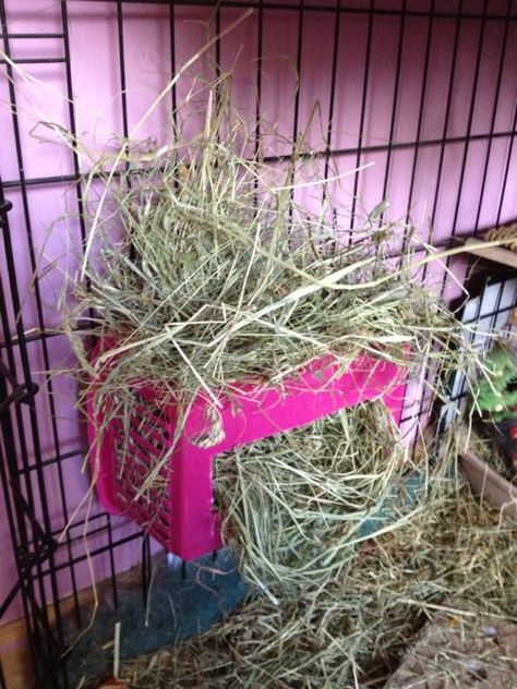 Diy Hay Rack, Diy Hay Feeder, Rabbit Feeder, Rabbit Hay Feeder, Guinea Pig Diy, Hay Rack, Hay Racks, Bunny Hutch, Rabbit Hay