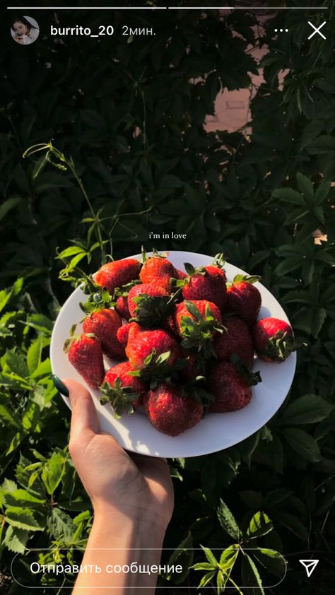 Food Captions, Instagram Captions, Strawberries, Fruit, Instagram