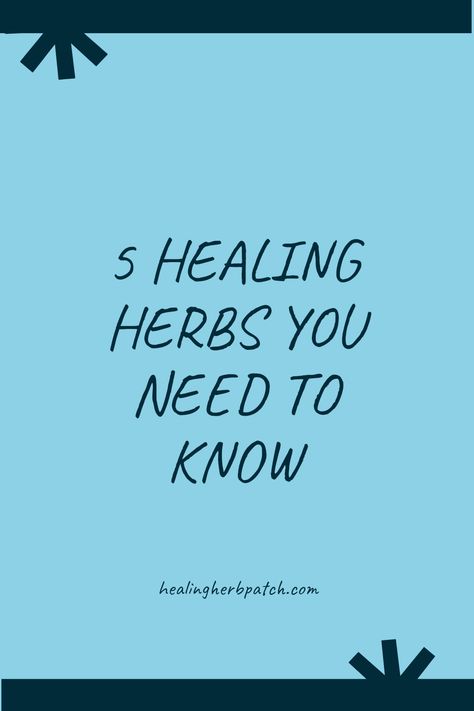 Discover the world of healing herbs with our guide! Explore five incredible plants that can boost your wellness naturally. Learn about their benefits, uses in everyday life, and easy ways to incorporate them into your routines. From antimicrobial properties to calming effects, these herbs have a lot to offer. You'll find that spice racks and gardens can provide potent solutions for common ailments. Get inspired and elevate your health with these fabulous healing herb tips for a naturally peaceful living experience tailored to your daily needs! Herb Tips, Spice Racks, Peaceful Living, Herbal Infusion, Scalp Health, Healthy Scalp, Healing Herbs, Rose Tea, Hair Care Routine