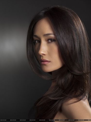 Nikita - Nikita Photo (19863439) - Fanpop Maggie Q, European Women, Celebrities Female, Brown Hair, Asian Beauty, Beautiful People, A Woman, Hollywood, Actresses