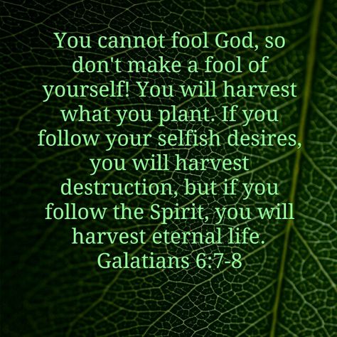 Galatians 6:7-8 What you sow, you will reap. What seeds are you planting? Reap What You Sow, About God, Christian Bible Verses, Karma Quotes, People Quotes, Scripture Quotes, Verse Quotes, Bible Verses Quotes, Quotes About God