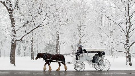 Horse drawn carriage... Winter Dates, Carriage Wedding, List Inspiration, Winter Wedding Planning, Carriage Ride, Horse Drawn Carriage, Winter Dream, Wedding Carriage, Winter Horse