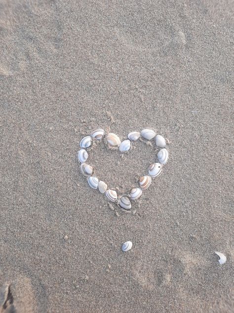 seashell heart for a girl I really like Seashell Heart, Beach Collage, Beach Heart, Summer Wallpapers, Phone Things, Summer Wallpaper, Shop Ideas, Beach Aesthetic, 로고 디자인