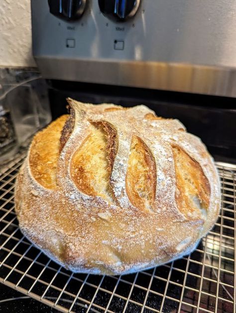 Sourdough for Beginners | Guys this is my third loaf and I'm SO PROUD 😭😭😭😭 thank you for everyone's advice and tips I can't tell you how much I love this group 💕 | Facebook Aldi Pizza Dough, Another Poster, Recipe Using Sourdough Starter, Dough Starter, Starter Recipe, Bake Bread, Sourdough Starter Recipe, Sourdough Bread Recipe, No Knead Bread