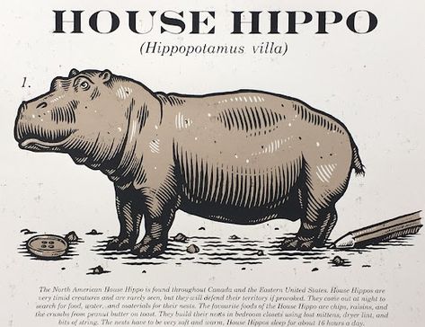 Valley Girl Views: Why Everyone Needs A House Hippo House Hippo, Bloomsburg Pa, Valley Girl, History Events, American House, Valley Girls, Old Newspaper, Wine Tour, Hippopotamus