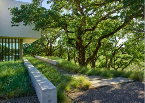 Formal Garden Design, Vineyard House, Pinot Noir Grapes, California Vineyards, Russian River Valley, Russian River, Formal Garden, Garden Store, Formal Gardens