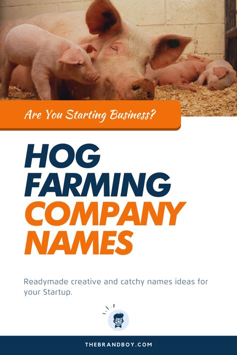 Among the various kinds of farming, hog farming is one of a kind. If you want to specialize in this field, you first have to know how to name the same.   #businessnames #namesidea #naming #catchynames #HogFarmingNames Catering Business Names, Farm Names Ideas, Hog Farming, Farm Name Generator, Farm Names, Company Names Ideas, Names Generator, Pig Farm, Happy Pig