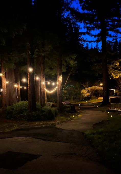 #redwoods #forest #fairylights #aesthetic Electric Forest Aesthetic, Nighttime Forest Aesthetic, Dark Forest Aesthetic, Chill Zone, Electric Forest, Night Forest, Forest Trail, Forest Park, Forest Fairy