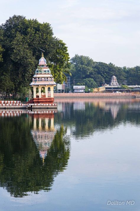 Madurai, Tamil Nadu, Quick Saves