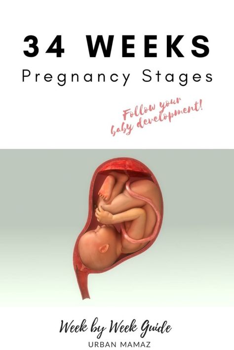 Pregnancy guide - 34 weeks. Are you pregnant? Wondering how is your baby developing? Discover your baby and pregnancy development - Week by week pregnancy guide- pregnancy trimesters, all the pregnancy stages- click here to read about 34 weeks pregnancy》 2nd Trimester Pregnancy, Pregnancy Trimesters, Pregnancy Development, Pregnancy Drawing, Body Changes During Pregnancy, 19 Weeks Pregnant, Baby Development Activities, 34 Weeks Pregnant, Pregnancy Memes