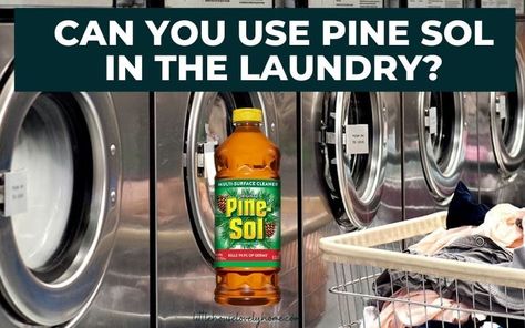 Pinesol Uses Cleaning, How To Whiten Clothes, Cleaning Cupboard, Cleaning Floors, Pine Sol, Pine Essential Oil, Commercial Laundry, Wash Clothes, Grease Stains