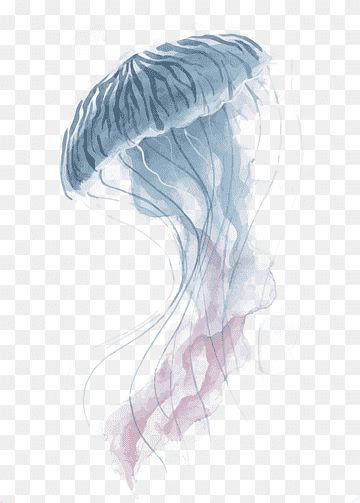 Jellyfish Watercolor Painting, Jellyfish Png, Painting Jellyfish, Jellyfish Images, Png Material, Fish Png, Alfabet Font, Watercolor Jellyfish, Jellyfish Drawing