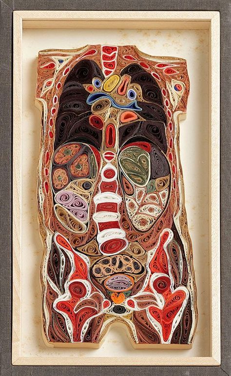 Lisa Nilsson, Body Lisa, Skin Anatomy, Human Body Art, Human Body Systems, Body Tissues, Japanese Silk, Quilling Designs, Art Historian