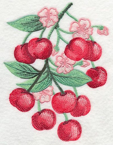 Embroider Clothing, Embroidered Bath Towels, Waffle Weave Towels, Colorful Nature, Embroidered Apron, Nature Spring, Christmas Towels, Embroidered Towels, Free Machine Embroidery Designs