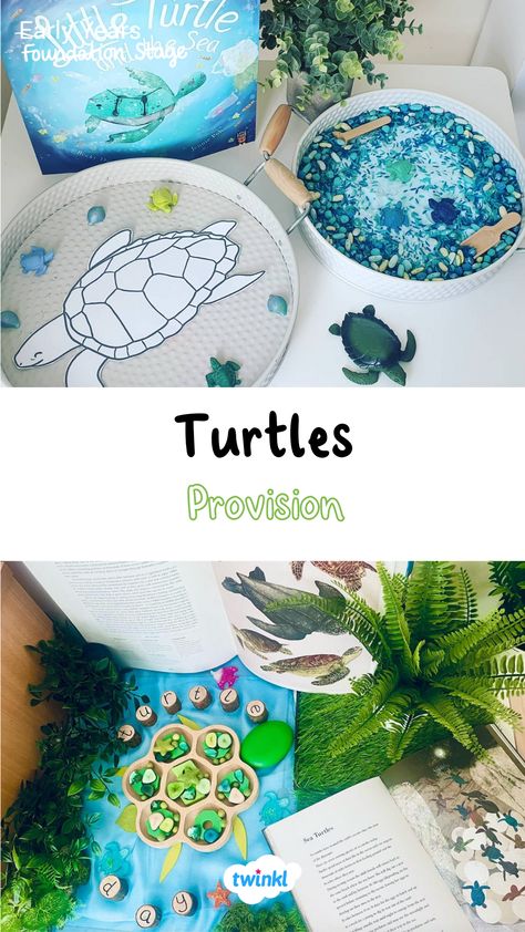 These great turtle activities are perfect for world turtle day. Thanks to Childminding with Claire Close and Wonderbees Childminding Turtle Day Activities, World Turtle Day Activities, Turtle Activities For Kids, Turtle Colouring, Corduroy Activities, Turtle Activity, Sea Turtle Life Cycle, Turtle Life Cycle, Turtle Activities