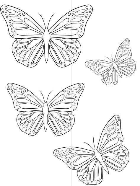 Butterfly Drawing Outline Tattoo Ideas, Different Butterfly Tattoo Stencil, Basic Butterfly Tattoo Outline, Butterfly With Flowers Tattoo Stencil, Butterfly Outline Printable Multiple, Chest Tattoo Drawings, Butterfly With Flowers Tattoo, Butterfly Tattoo Stencil, Butterfly Art Drawing