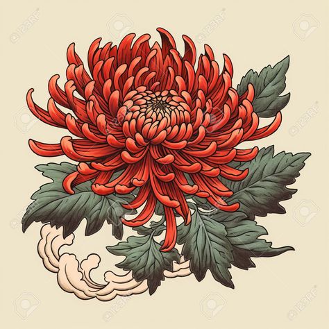 Japanese Chrysanthemum Tattoo Design, Japanese Chrysanthemum Tattoo, Chrysanthemum Wedding Bouquet, Peony Japanese, Crisantemo Tattoo, Japanese Peony Tattoo, Chrysanthemum Wedding, Japanese Peony, Japanese Flower Tattoo