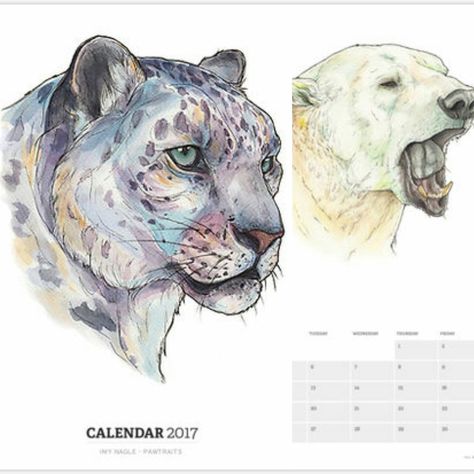 2017 Calendars now available on my Redbubble Shop! Just like having 12 quality prints of my work, in one item for £20! Use link in my bio to purchase, or visit my Redbubble to see what other items I have available on my shop :) #2017calendar #calendar #redbubble #newbusiness #petportrait #newartist #animalportrait #animalpainting #artwork Leopard Sketch, Snow Leopard Drawing, Hair Sketches, Snow Leopard Tattoo, Leopard Drawing, Leopard Tattoos, Ink Portrait, Leopard Painting, Leopard Watercolor