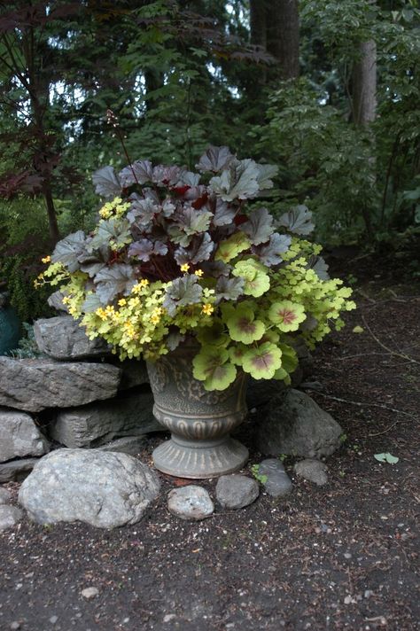 One of my favorite plantings ever: heuchera Dark Secret with a fancy-leafed geranium and oxalis Molten L… | Shade garden plants, Garden containers, Container plants Birdbath Planter Ideas Garden Projects, Town Garden, Potted Garden, Outdoor Urns, Shade Garden Plants, Shade Gardens, Container Garden Design, Garden Hacks, Garden Urns