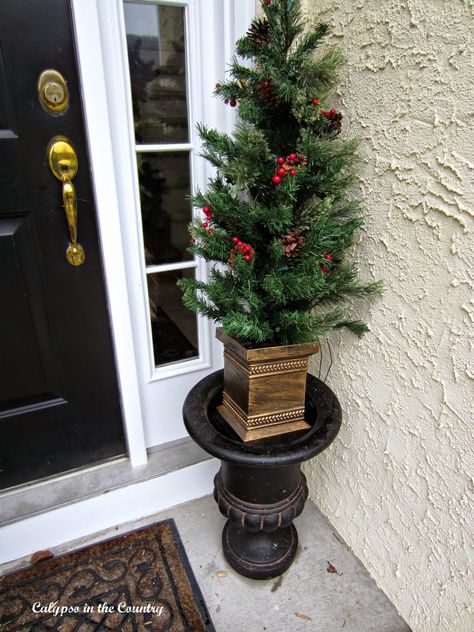 The Little Tree Dilemma Christmas Trees On Front Porch Ideas, Small Christmas Trees On Front Porch, Front Door Christmas Trees In Pots, Porch Trees Christmas, Christmas Tree In Urn, 4ft Christmas Tree, Porch Christmas Tree, Small Xmas Tree, Porch Tree