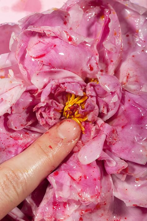 Maisie Cousins’s Visceral Images of Desire and Decay | The New Yorker Maisie Cousins, Feminist Artist, Feminist Art, London Photos, Lubricant, Divine Feminine, Art Show, Female Art, The End