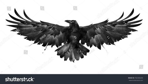 Painted Bird Crow Front On White Stock Illustration 782300200 Raven Medicine, Crow Tattoo Design, Crow Tattoo, Eagle Pictures, Raven Tattoo, Celtic Tattoos, Nature Tattoos, Skull Tattoos, Birds Tattoo