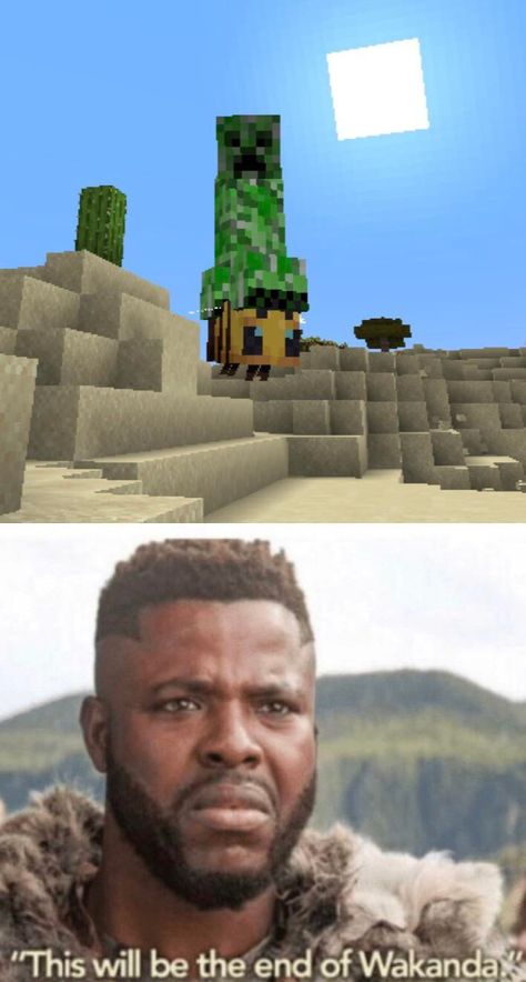 Minecraft Jokes, Minecraft Funny, Video Game Memes, Minecraft Memes, Gamer Humor, Top Memes, Fresh Memes, Crazy Funny Memes, Gaming Memes