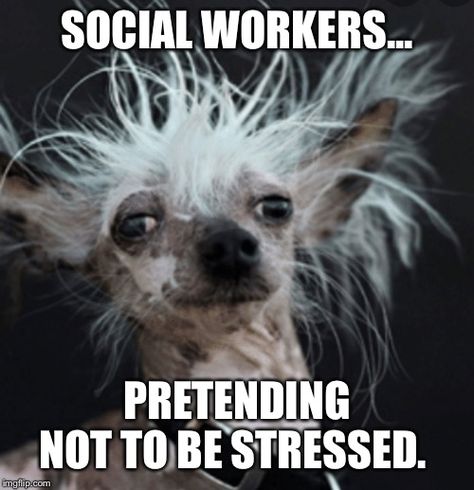 25 Amusing Social Work Memes To Get You Through The Day | SayingImages.com Social Worker Humor Funny, Social Worker Memes, Social Work Meme, Cps Worker, Help Meme, Social Worker Quotes, Social Work Quotes, Manager Humor, Social Work Humor