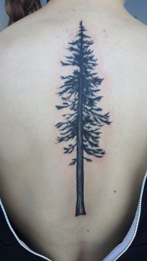 Tree Tattoo On Spine, Spine Tattoos Tree, Spine Tattoo Tree, Black And White Back Tattoo, Pine Tree Spine Tattoo, White Back Tattoo, Forest Spine Tattoo, Tree Spine Tattoo, Tattoo Ideas Back Spine