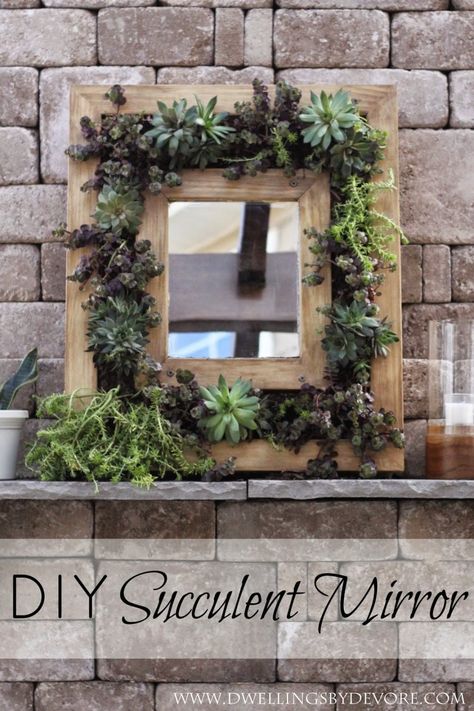 To customize a mirror to the décor in your bathroom, hallway or other living space, edge the mirror with these diy mirror frame ideas. Succulent Mirror, Flower Mirror Frame, Easy Diy Mirror Frame, Diy Mirror Frame Ideas, Diy Round Mirror, Mirror Frame Ideas, Diy Mirror Frame, Round Mirror Frame, Succulent Diy