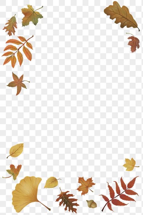 Fall Leaves Png, Autumn Leaves Background, Photo Border, Leaves Frame, Leaves Png, Png Background, Leaf Border, Background Transparent, Border Frame