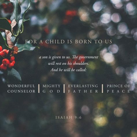 Wonderful Counselor Mighty God, Christmas Devotional, Christmas Prayer, Isaiah 9, Isaiah 9 6, Wonderful Counselor, Good Morning Gorgeous, Why Jesus, Bible Plan