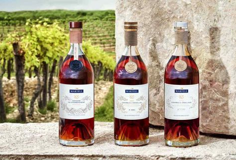 Top 10 Best Brandy Brands Sold Worldwide | Cognac Expert Brandy Liquor, Grape Brandy, Indian Drinks, Pernod Ricard, Remy Martin, Show Beauty, Magazine Fashion, Fashion Blogger Style, Beauty Magazine