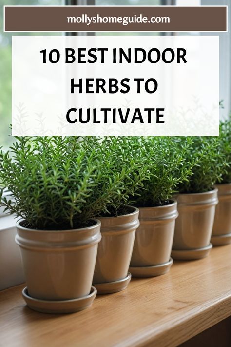 Discover the best herbs to grow indoors with our comprehensive guide to indoor gardening. From medicinal herbs to flavorful additions for your home-cooked meals, these herbs thrive inside year-long. Create your own indoor herb garden by growing herbs in pots or on your windowsill. Explore container gardening herbs perfect for urban spaces and learn about the easiest herbs to grow indoors. Indoor Herb Garden Sunroom, Potted Herbs In Kitchen, Growing Herbs From Seeds Indoors, Indoor Food Garden Ideas, Indoor Medicinal Herb Garden, Indoor Growing Setup, Kitchen Herb Garden Indoor, Herb Garden Ideas Indoor, Windowsill Herbs