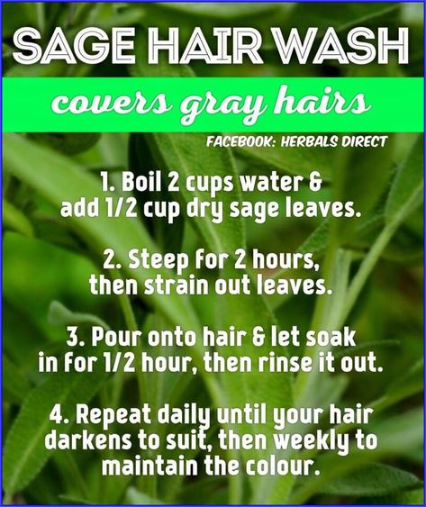 Grey Hair Reversal, Sage Hair, Stop Grey Hair, Grey Hair Remedies, Reverse Gray Hair, Grey Hair Coverage, Hair Covering, Natural Hair Diy, Covering Gray Hair