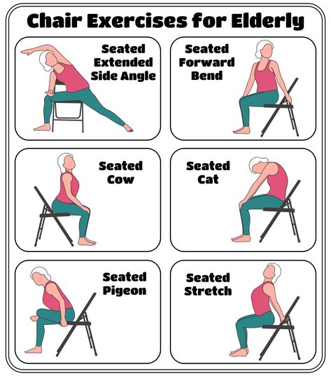 Printable Chair Exercises For Seniors Reduce The Belly Chair Fitness For Seniors, Chair Exercises For Seniors Printable, Senior Yoga Chair Exercises, Chair Workout Exercises, Chair Exercises For Belly, Chair Exercises For Seniors, Neck And Shoulder Exercises, Chair Exercise, Exercises For Seniors