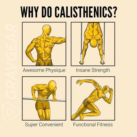 Calisthenics isn't just about getting ripped, it's about building a strong foundation for life. 💪🏻 Increased mobility, strength, and confidence - all without needing a single piece of equipment. 🎯 Be sure to follow @calichojin for more Calisthenics workout tips and inspiration! ✅ . . . . . . . . . . #calisthenics #calisthenicsbeginner #calisteniaworkout #progress #pullups #gym #workoutvid #pulldayworkout #decipline #motivation #bodytransformation #explore Calisthenics Wallpaper, Pull Day Workout, Calisthenics Gym, Beginner Calisthenics, Calisthenics Workout, Get Ripped, Workout Tips, Calisthenics, Transformation Body