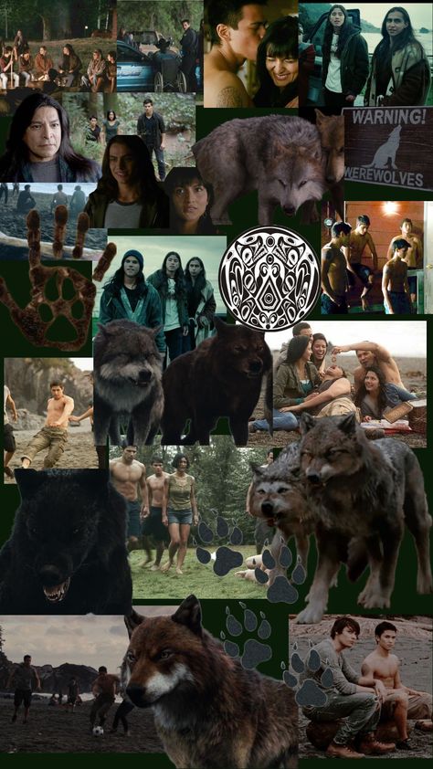 Twilight Wolf Pack Wallpaper, Twilight Wolf Pack Aesthetic, Wolf Pack Wallpaper, Twilight Wolves, Twilight Wolf Pack, Twilight Dr, Twilight Jacob, Paul Lahote, Supernatural Aesthetic