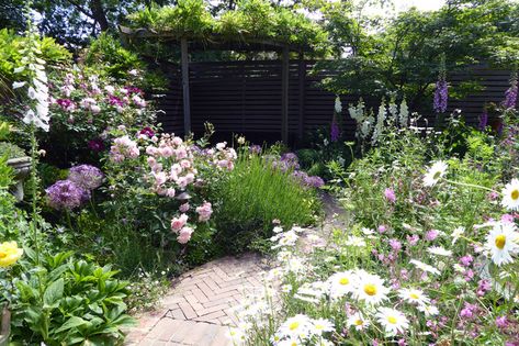 10 Common Garden Design Mistakes and How to Avoid Them Small Cottage Garden Ideas, Shade Tolerant Plants, Urban Backyard, Backyard Cottage, Urban Cottage, Farmhouse Landscaping, Garden Pathway, Garden Tours, Garden Photos