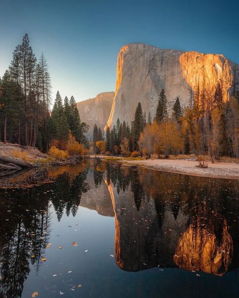 Yosemite California, Yosemite Valley, Autumn Scenery, California Usa, Fall Autumn, Fall Colors, California, The Incredibles, Art