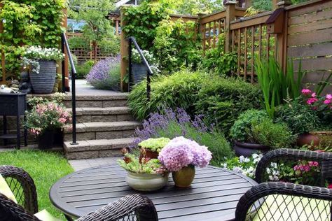 Backyard Simple, Small Yard Landscaping, Cheap Garden, Video Garden, Garden Ideas Cheap, Budget Garden, Garden Design Plans, The Secret Garden, Small Yard