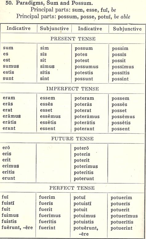 Learn Latin For Beginners, Learning Latin For Beginners, Learning Latin Aesthetic, Latin For Beginners, Latin Verbs, Latin Language Learning, Linguistics Study, Learning Latin, Learn Latin