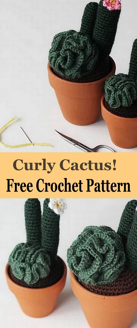 Crochet succulent plants are a delightful and unique addition to any home decor. These beautiful plants are easy to make and require simple materials, such as soft yarn, a crochet hook, and stuffing. Creating a crochet succulent plant usually takes only a few hours, making it a fun and quick project. Crochet Plant Decor, Succulent Crochet Free Pattern, Free Crochet Plant Patterns, Small Crochet Plant, Crochet Succulents Free Pattern, Crochet Plants Free Pattern, Crochet House Plants, Crochet Succulent Plant, Crochet Plants